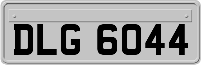 DLG6044