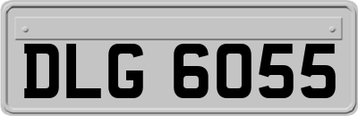 DLG6055