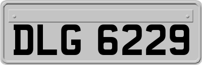 DLG6229