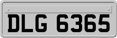 DLG6365