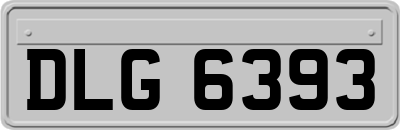 DLG6393