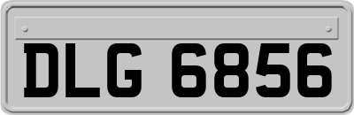 DLG6856