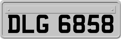 DLG6858