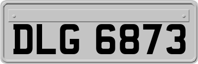 DLG6873