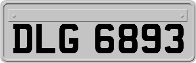 DLG6893