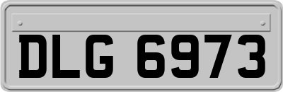 DLG6973