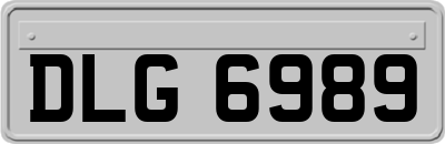 DLG6989