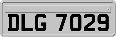 DLG7029