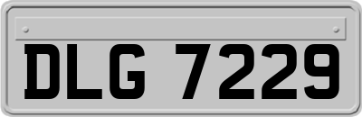 DLG7229