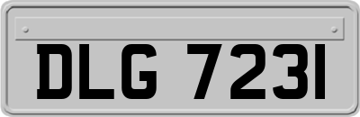 DLG7231
