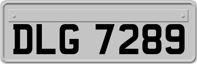 DLG7289