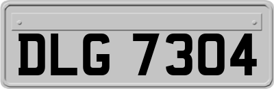 DLG7304