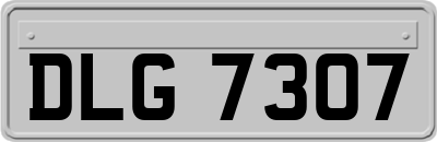 DLG7307