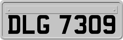 DLG7309
