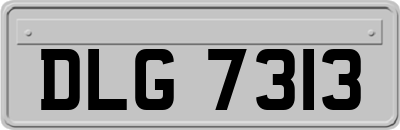 DLG7313