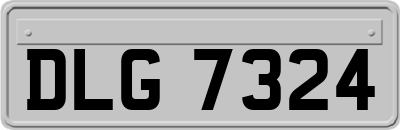DLG7324