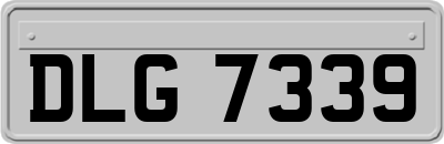 DLG7339