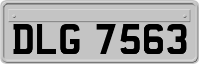 DLG7563