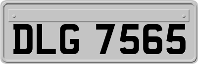 DLG7565
