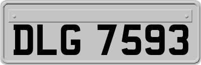 DLG7593