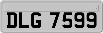 DLG7599