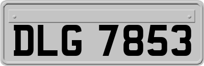 DLG7853