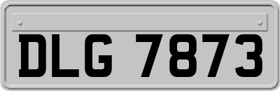DLG7873