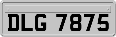 DLG7875