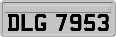 DLG7953