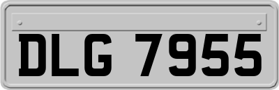 DLG7955