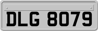 DLG8079