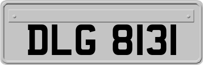 DLG8131