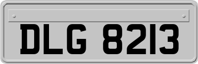 DLG8213