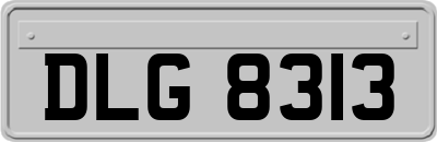 DLG8313