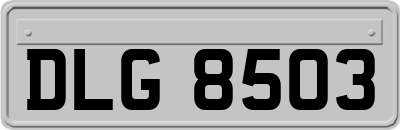 DLG8503
