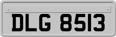 DLG8513