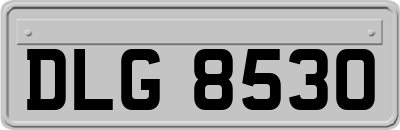 DLG8530