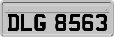 DLG8563
