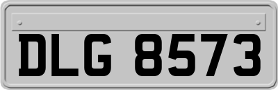 DLG8573