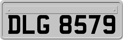 DLG8579