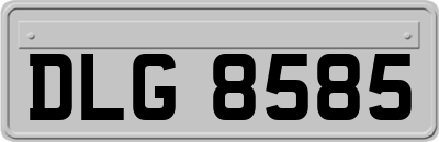 DLG8585