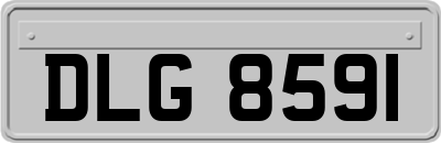 DLG8591