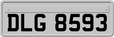 DLG8593