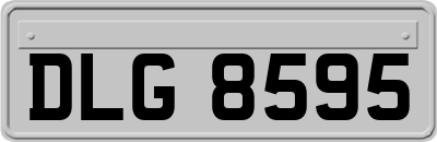 DLG8595