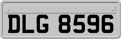DLG8596