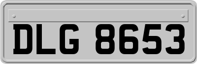 DLG8653
