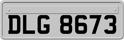 DLG8673