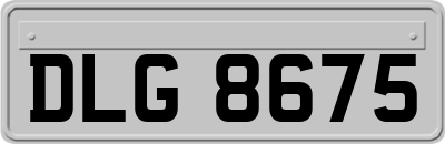 DLG8675