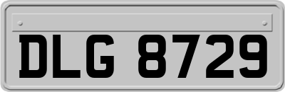 DLG8729
