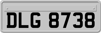 DLG8738